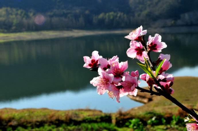 世上本无事庸人自扰之的唐诗,这三首唐诗写尽了人生的变幻