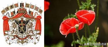 比利时发展水平,比利时为什么是最小国