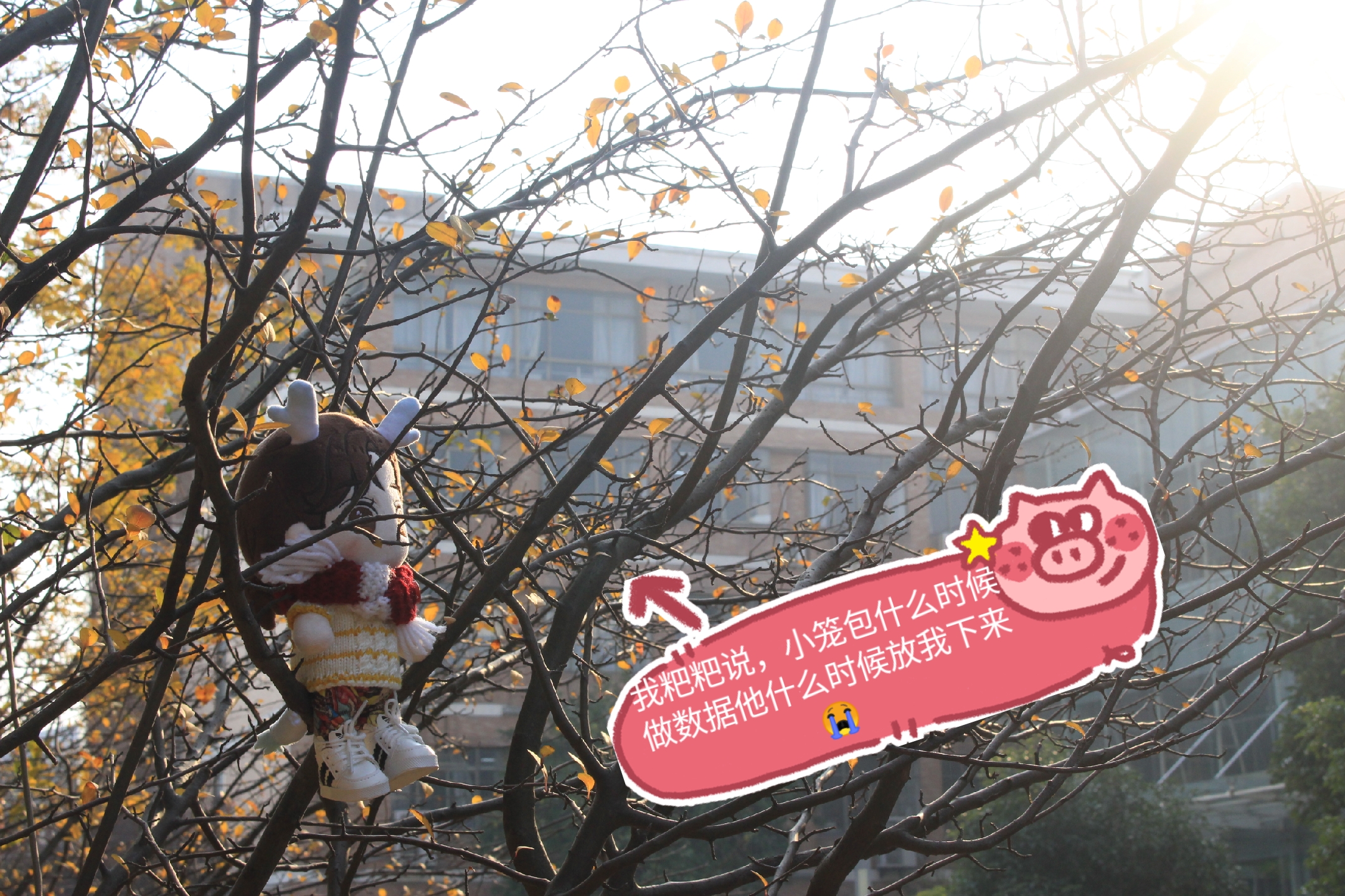 朱一龙笑容三格,朱一龙红衣绝美镜头