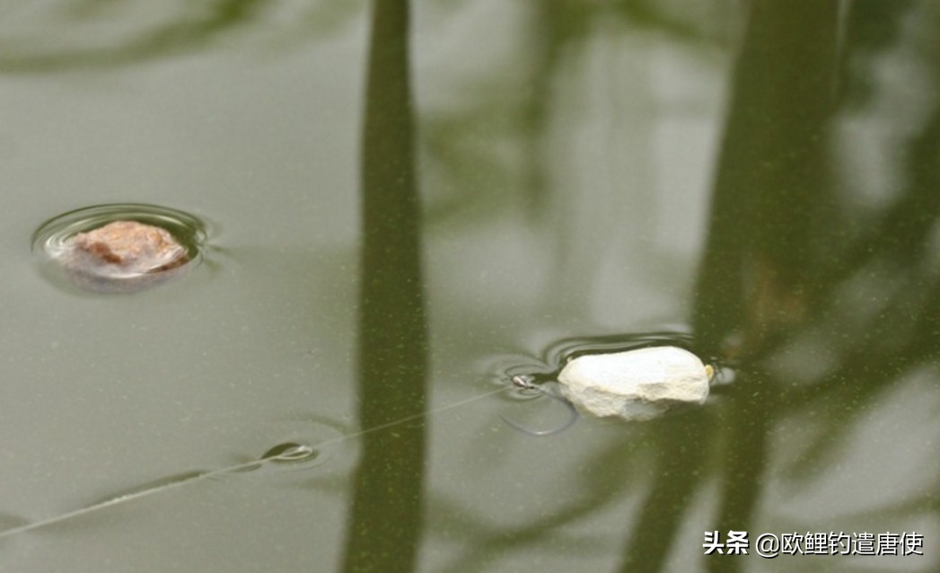 欧鲤钓组单柄鱼钩绑法,欧鲤钓组挂浮珠还是挂玉米
