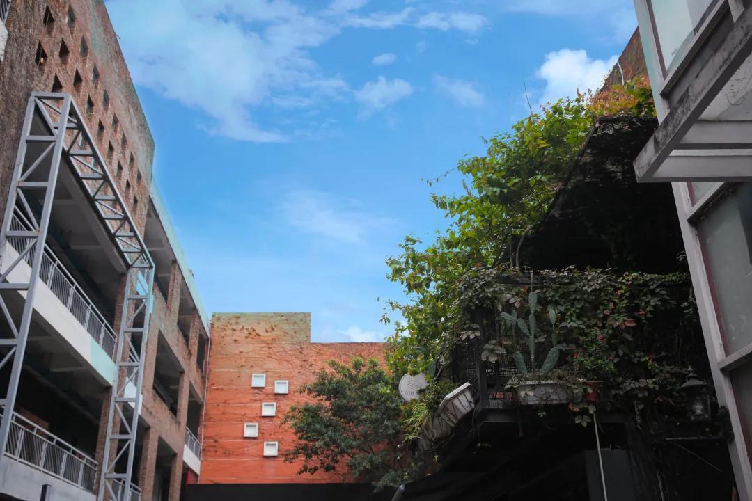 三分钟带你了解真正的f35战斗机,一分钟看懂f18战斗机