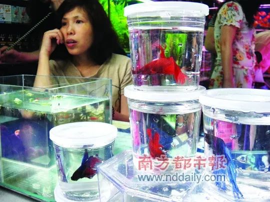 广州曾经最不起眼的老街,广州老的历史建筑街区