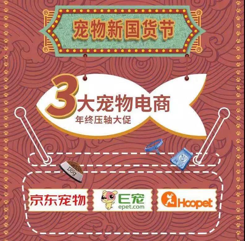 最近畅销的宠物,现在流行的特别宠物有哪些推荐