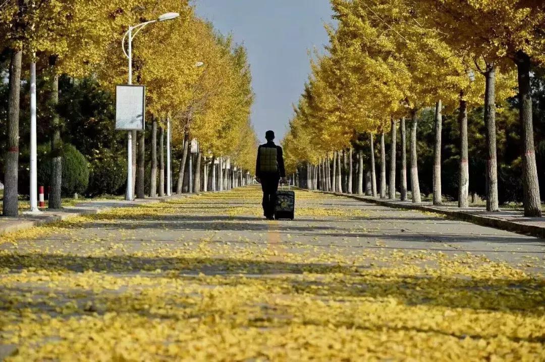 我的*藏西**战友，再敬最后一个军礼！