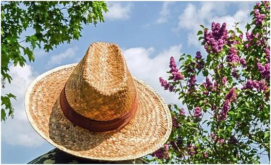 改善头发掉发最有效的方法,头发掉发最好的解决方法