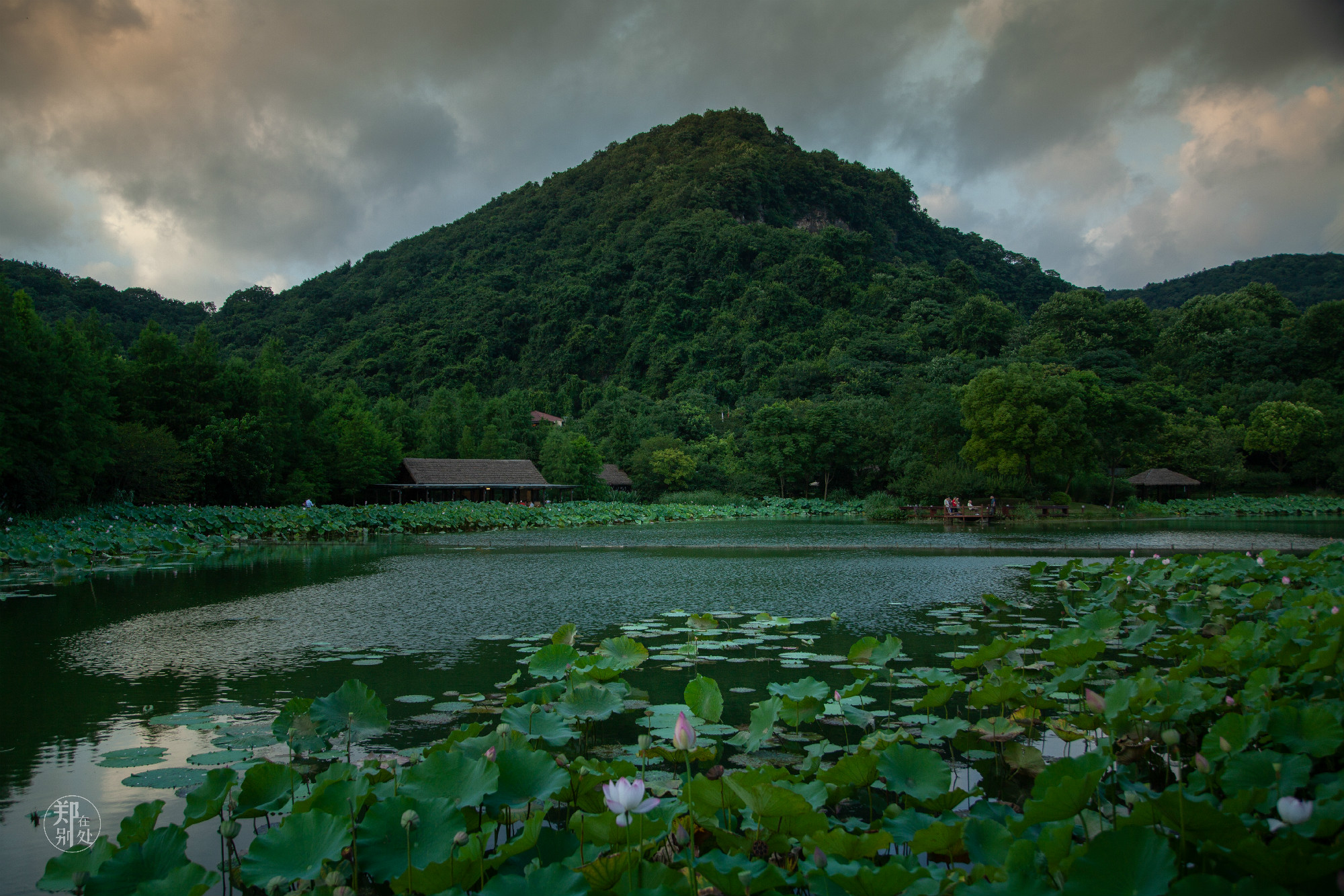 坐公交游杭州几路最好,杭州87路公交沿路风景