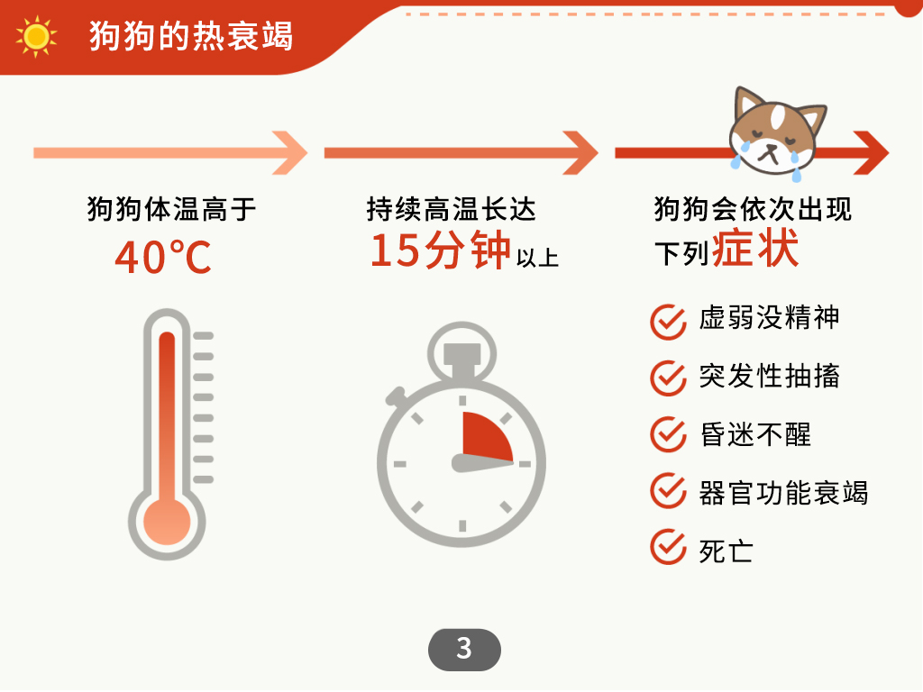 狗狗中暑急救处理方法,狗狗中暑呼吸急促怎么办吃什么药