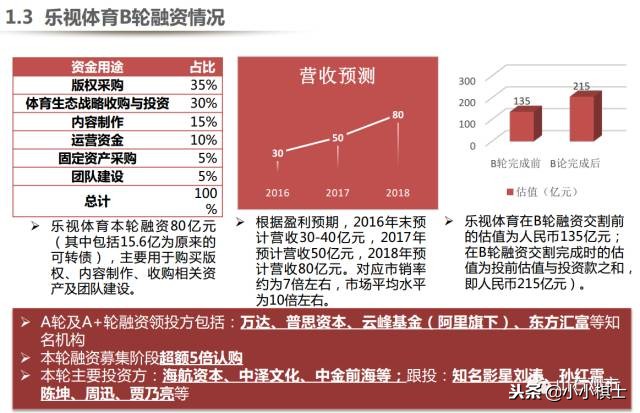 贾跃亭宣布公司启动2020年ipo规划,乐视贾跃亭关于融资说过的话