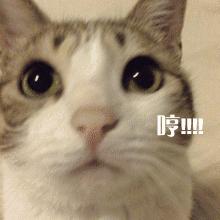 艺霏虾青素精华和可复美精华,艺霏虾青素敷料好用吗