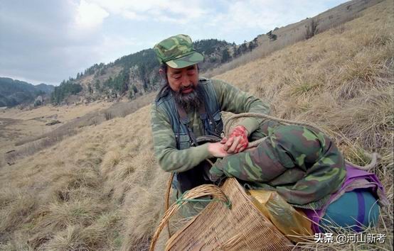 寻找野人的张金星现在如何,张金星神农架野人