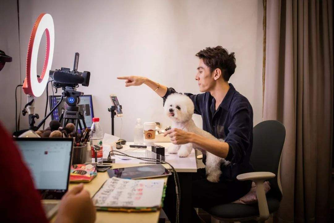 社交电商赚钱模式有哪些,社交电商盈利方式