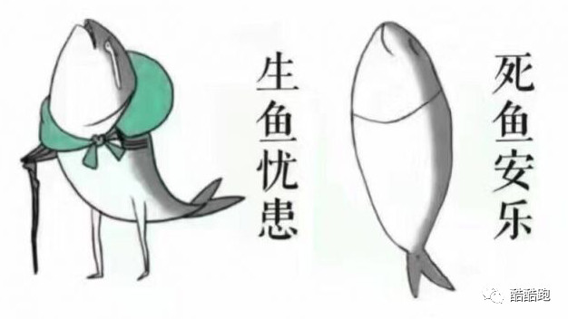 B站竟引入日系赌博活动？还带走了九老师第一次*摸自**？