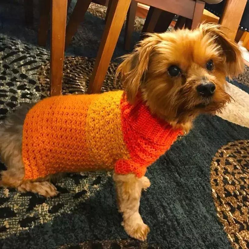 他是非洲弃婴，5岁用钩针，逆袭成美国“全民偶像”，狂吸19万粉