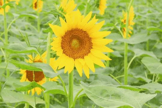 6号线都有什么景点,六号线能去的免费景点