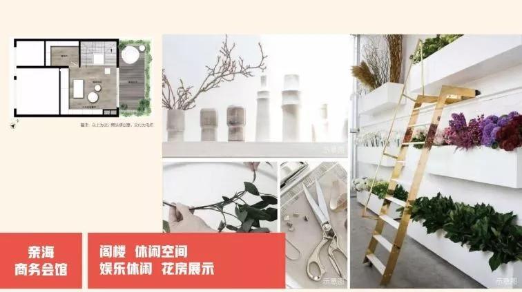 东莞滨海湾新区和前海,东莞滨海要变成市吗