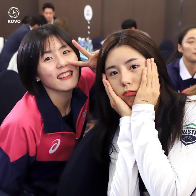 李多英李多贤是双胞胎吗,排坛美人