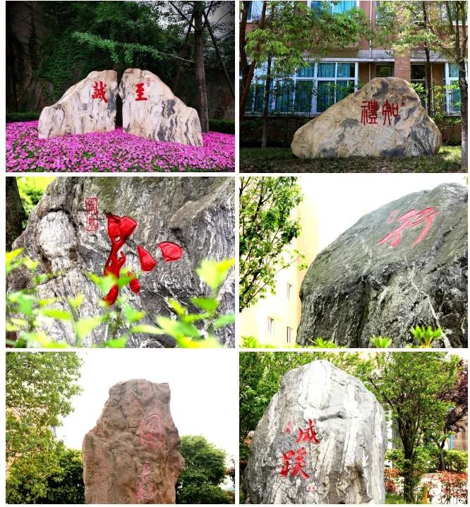 绵阳南山实验学校属于绵阳哪个区,绵阳南山实验学校与绵阳实验学校