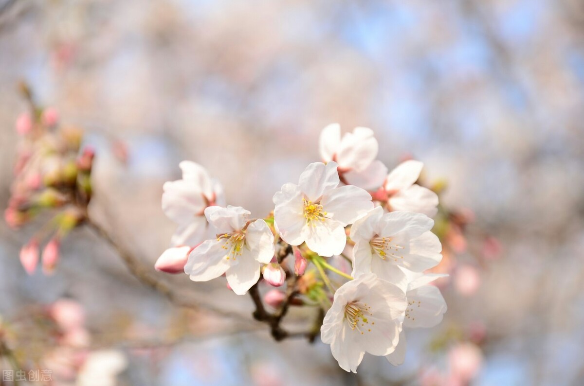 微妙无比——我曾与“玫琳凯”二度撞个满怀，便再也不想见