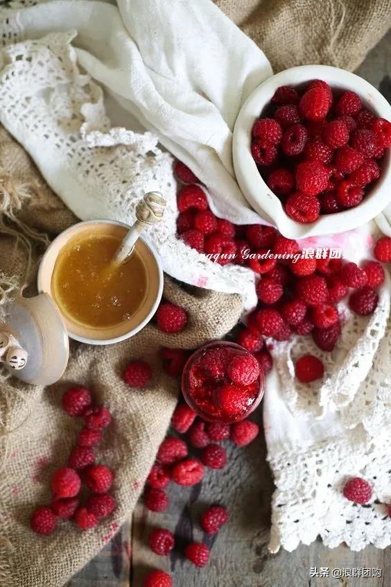 盆栽树莓能结多少果,盆栽果树一年可以长多高