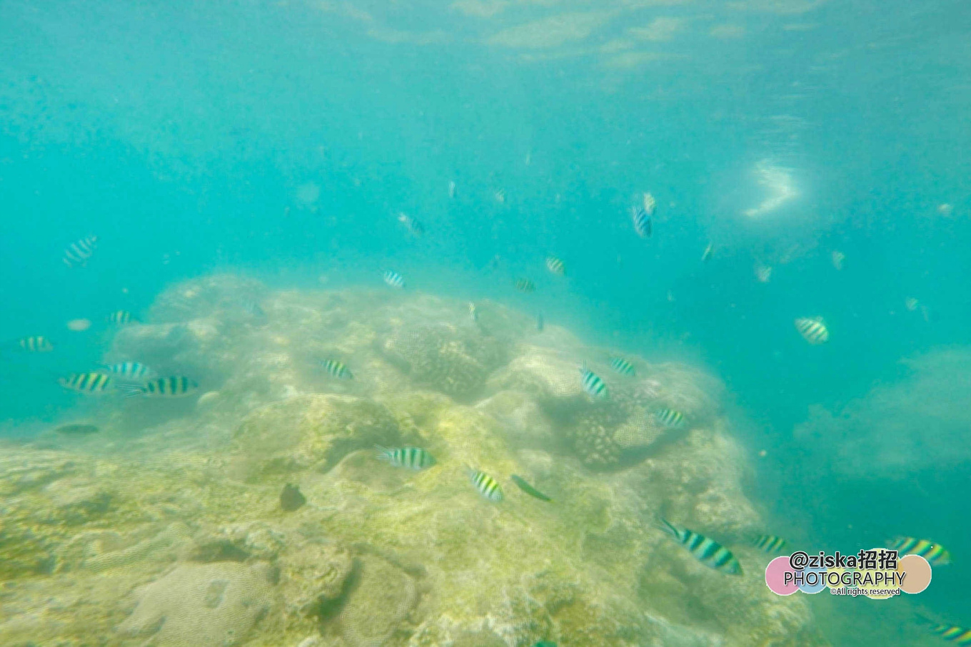 杨紫给李现分享旅游景点,现实生活中李现和杨紫到三亚旅游