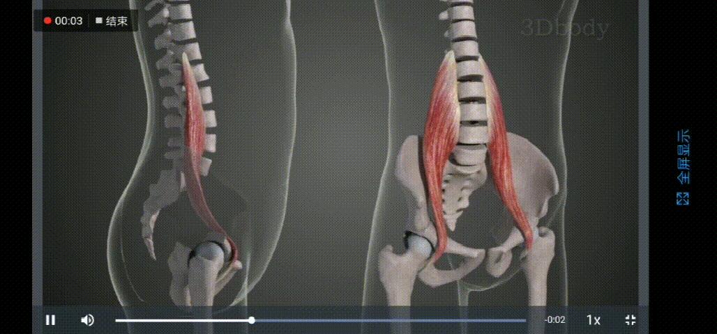 “翘臀”还有假?先自测再确认:你是真“翘臀”还是骨盆前倾?