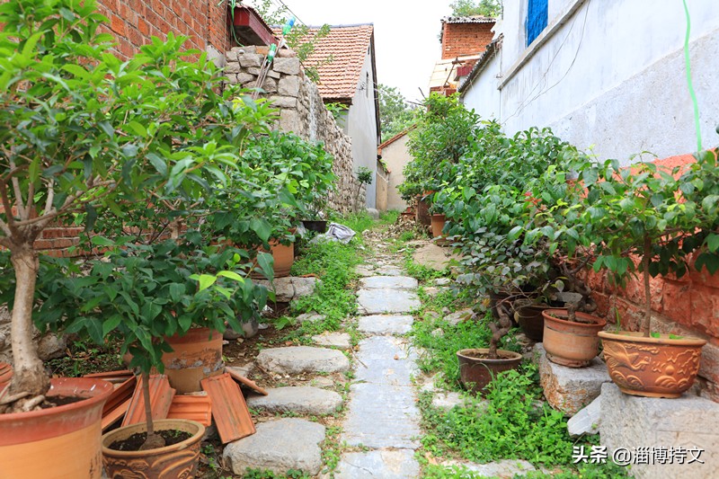 瑙︽懜涔℃剚鍙よ瘲鍥剧墖,瑙︽懜涔℃剚