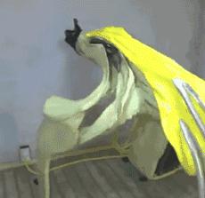 新婚快乐搞笑gif,gif搞笑动图合集图