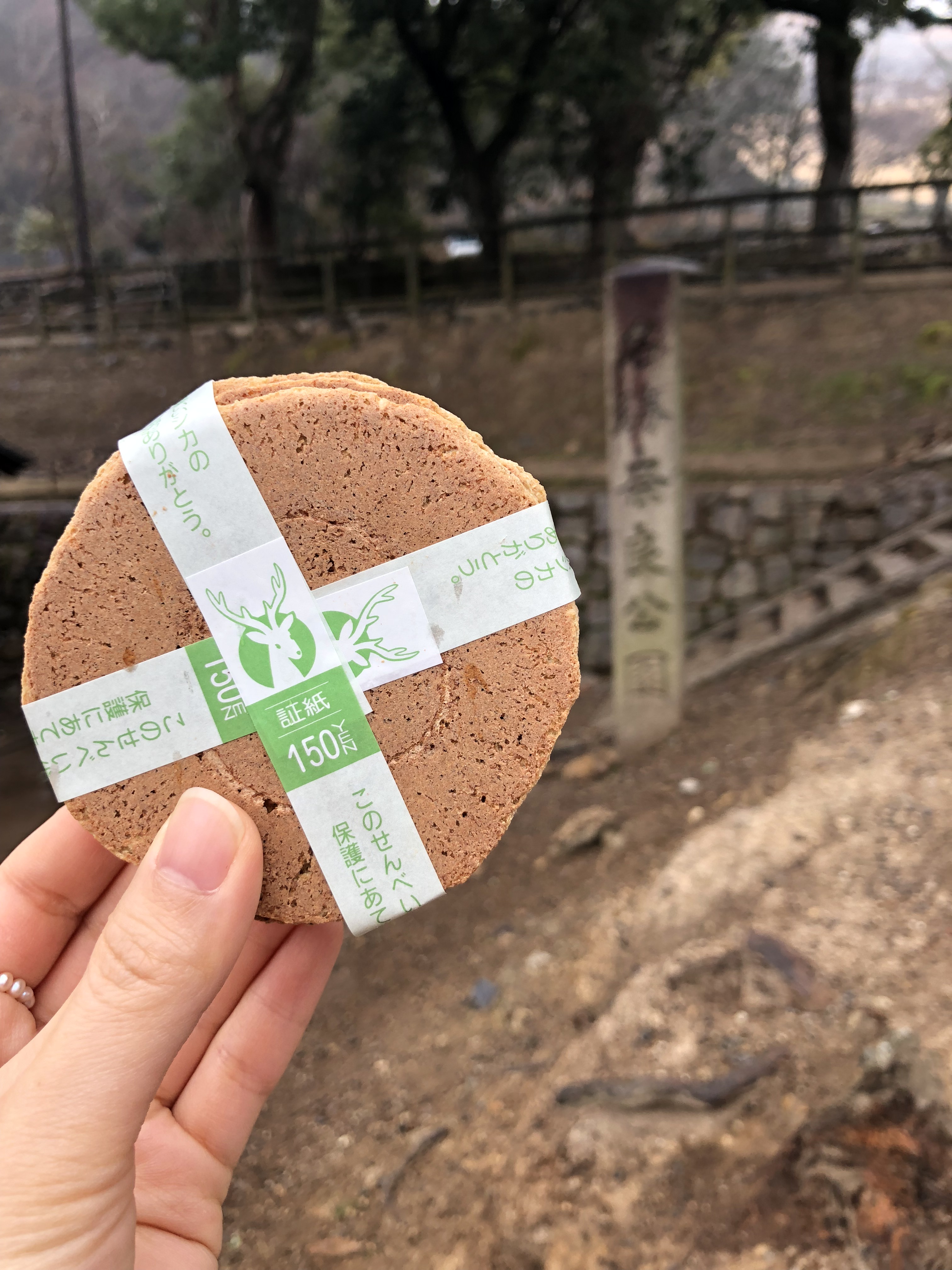 日本奈良公园遇见“神鹿”,日本奈良公园的鹿叫什么鹿