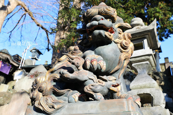 冬日乐趣排行,东京冬季旅游攻略一日游