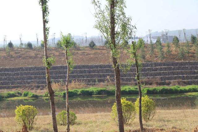 浠ユ按娑﹀煄,娑﹀煄娌抽亾娌荤悊宸ョ▼