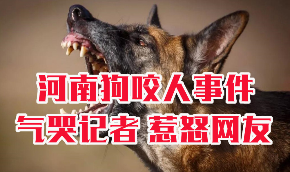 新华社五问安阳狗咬人事件,央视评论安阳狗咬人事件反转