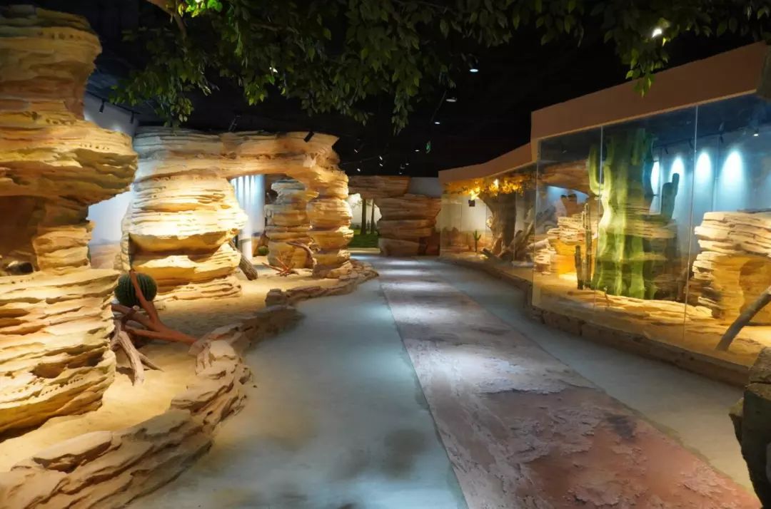 金牛湖野生动物王国过年去怎么样,金牛湖野生动物王国游玩时间