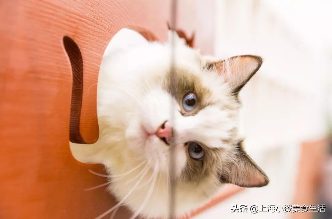 杩涘叆绾康纰戝康纰戣胺,杩涘叆绾康纰戣胺