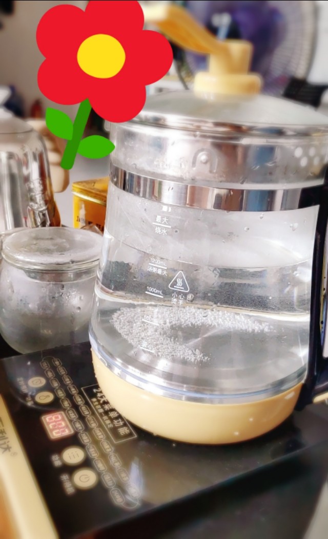 怎么使用养生壶做美食,只有养生壶怎么做一日三餐