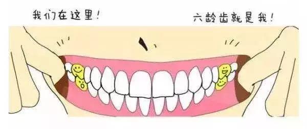 孩子牙齿长歪了怎么办？什么时候适合做矫正？