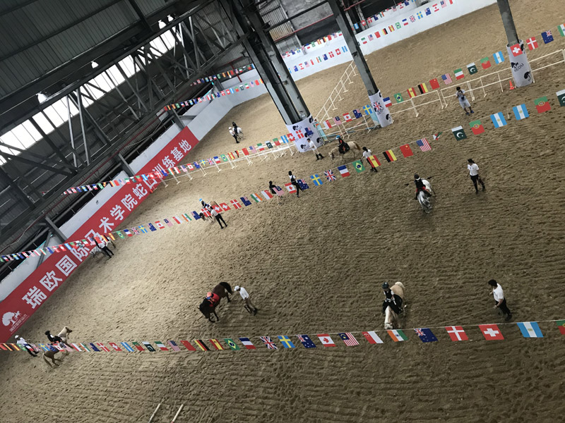 卡丁车深圳前海,卡丁车深圳欢乐海岸