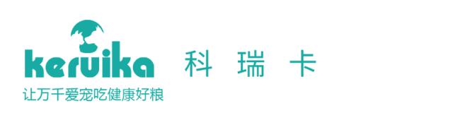 猫咪为啥喜欢歪头,猫咪为啥喜欢趴鞋子