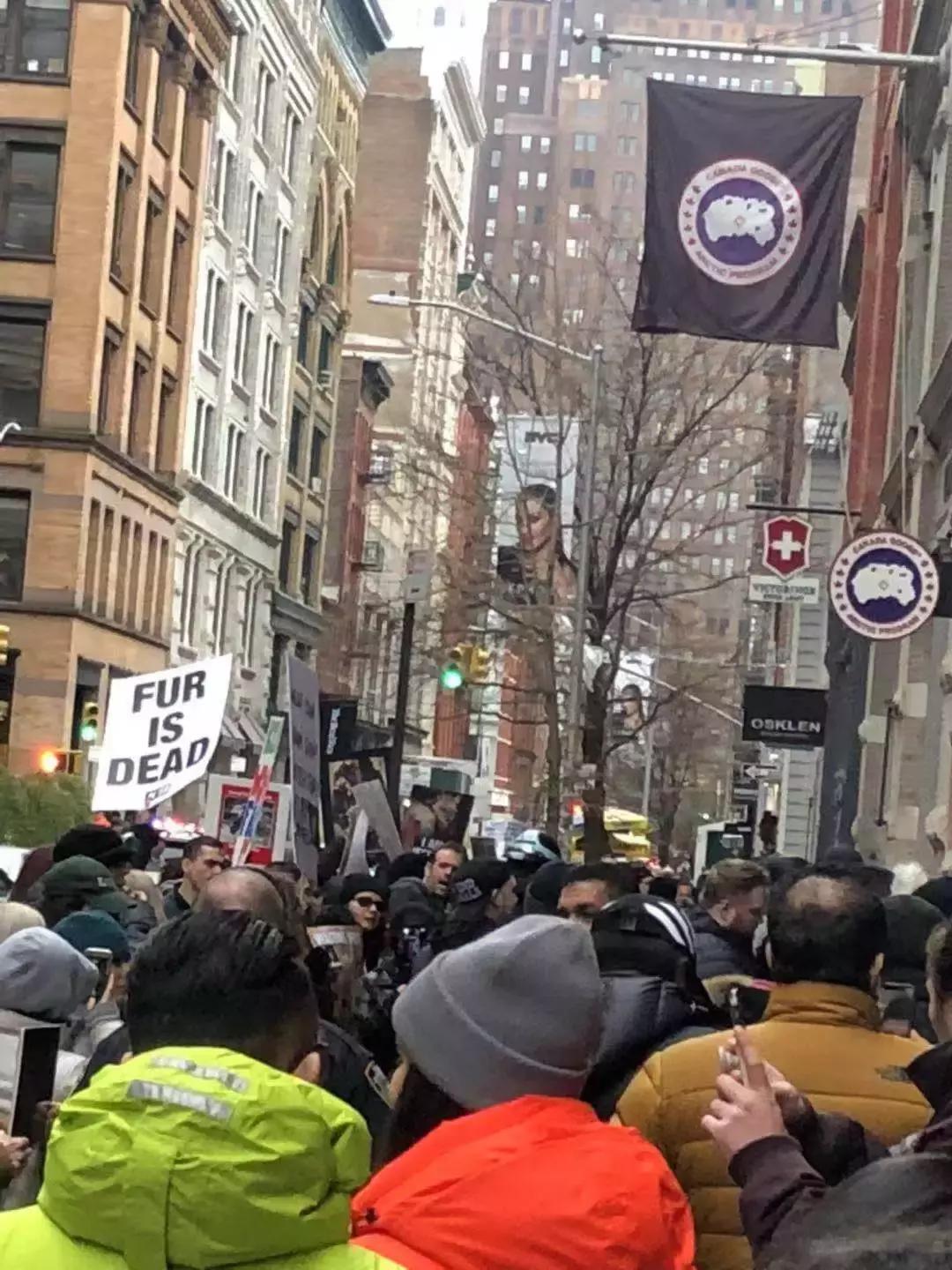 留学生注意！穿加拿大鹅危险了，有人专门抢穿鹅的亚洲人