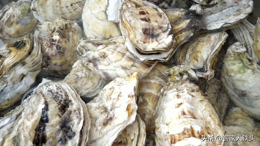 10元3个蒜蓉生蚝,正宗粉丝生蚝