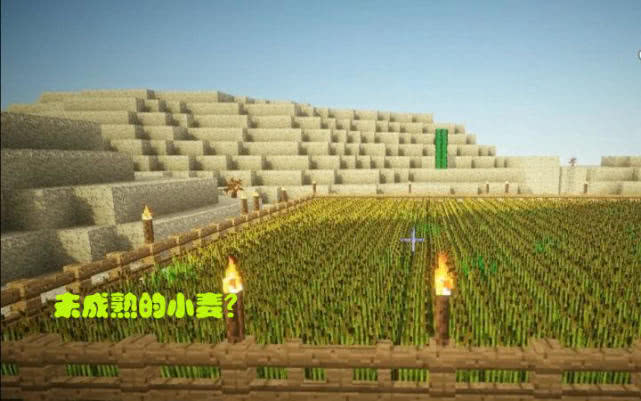 我的世界岩浆怪怎么对付,我的世界什么可以阻挡岩浆