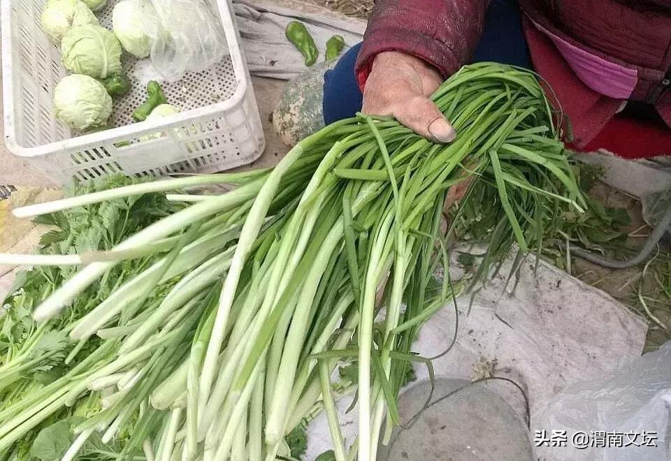 渭南阳郭贺家，我可爱的家乡