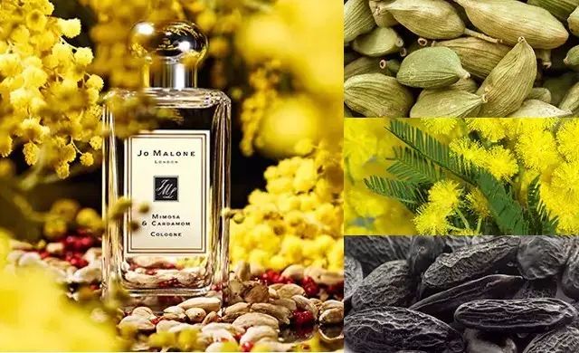 祖马龙香水测评,祖玛珑红玫瑰香水测评