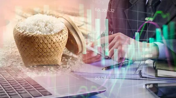 粮食潜在危机,农业粮食的危机