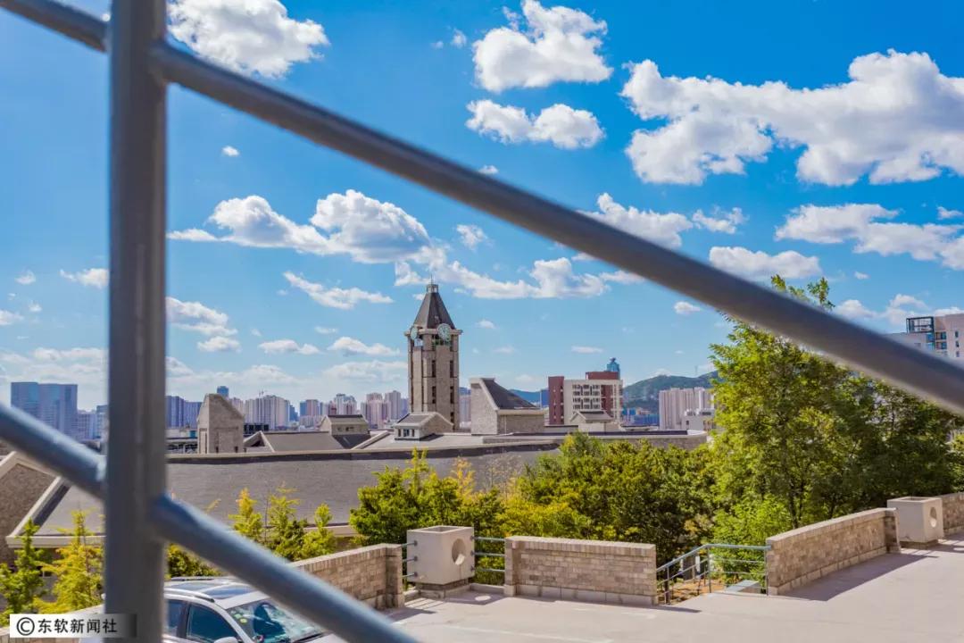 辽宁省民办大学（二）大连东软信息学院