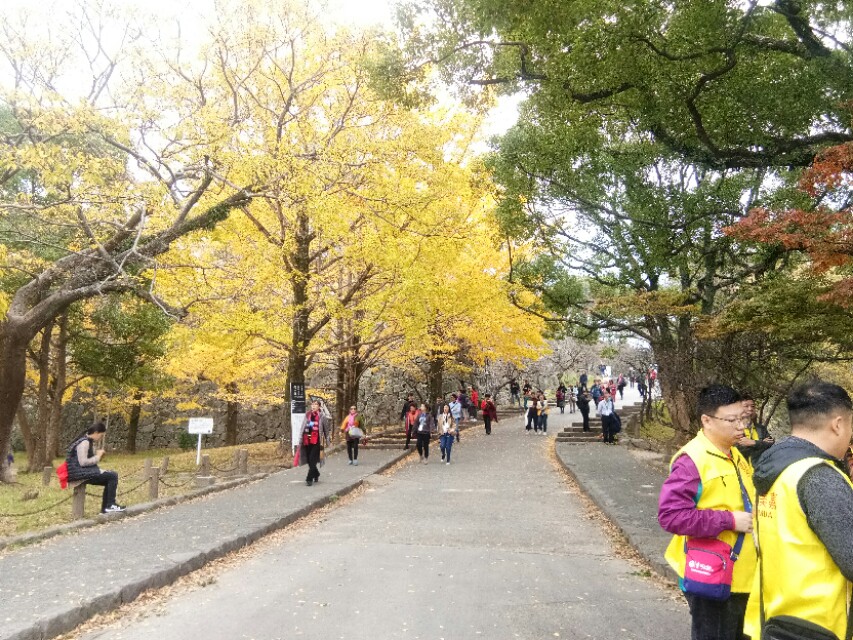 日本福冈印象――俩大包子花了64.88