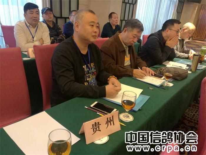 中国信鸽协会各地鸽会,惠州市信鸽协会电话