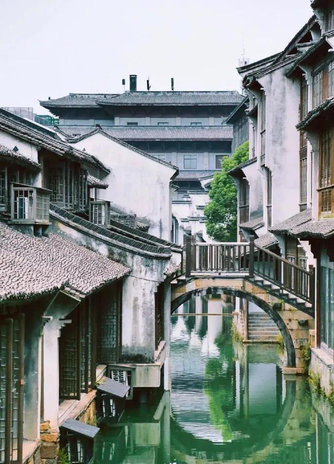 舌尖上的中国嘉兴粽子,嘉兴粽子五芳斋粽子做法