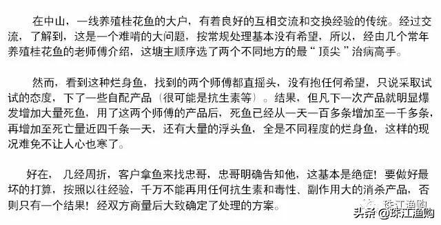 桂花鱼烂鳃怎样治,桂花鱼烂身怎么处理