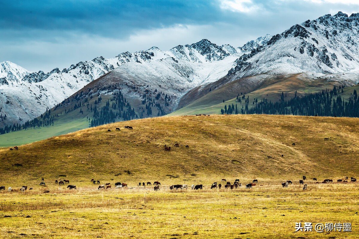 风景不能“胡乱拍”，按照5句摄影口诀，照片提升看得见