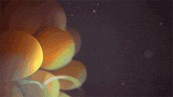 吃了感冒药发现怀孕，小孩能不能要？不同情况结果不同